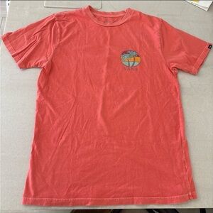 Vans Coral Short Sleeve Tee with Palm Sunset Graphic